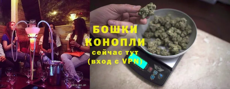 Шишки марихуана THC 21%  мориарти телеграм  Поворино  mega  